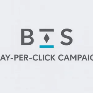 Pay-Per-Click Campaign