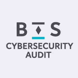 Cybersecurity Audit