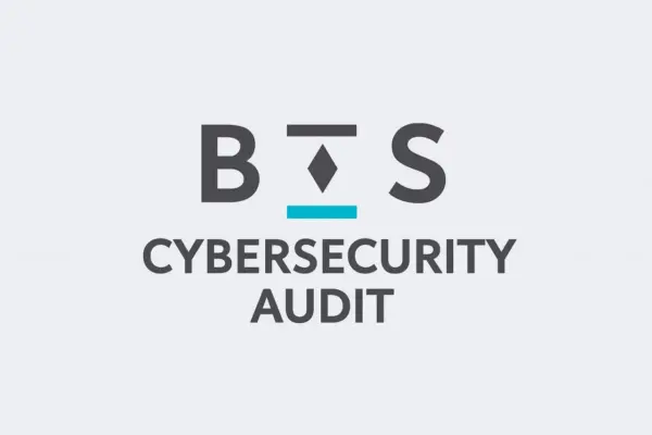 Cybersecurity Audit